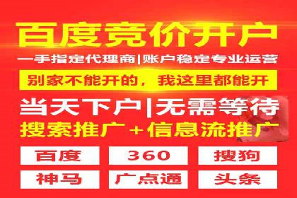 百度竞价广告运营实战：创意与执行的完美结合